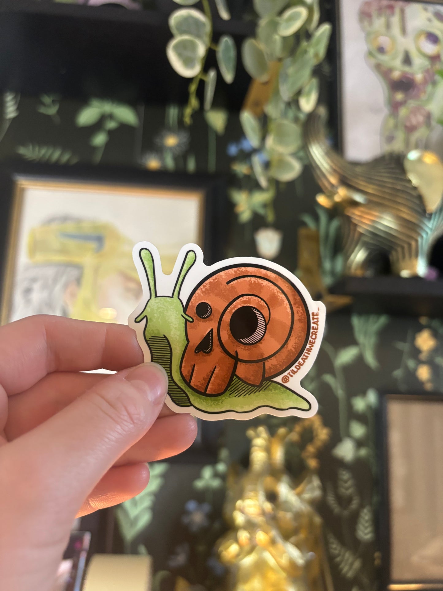 Snail Skull Sticker
