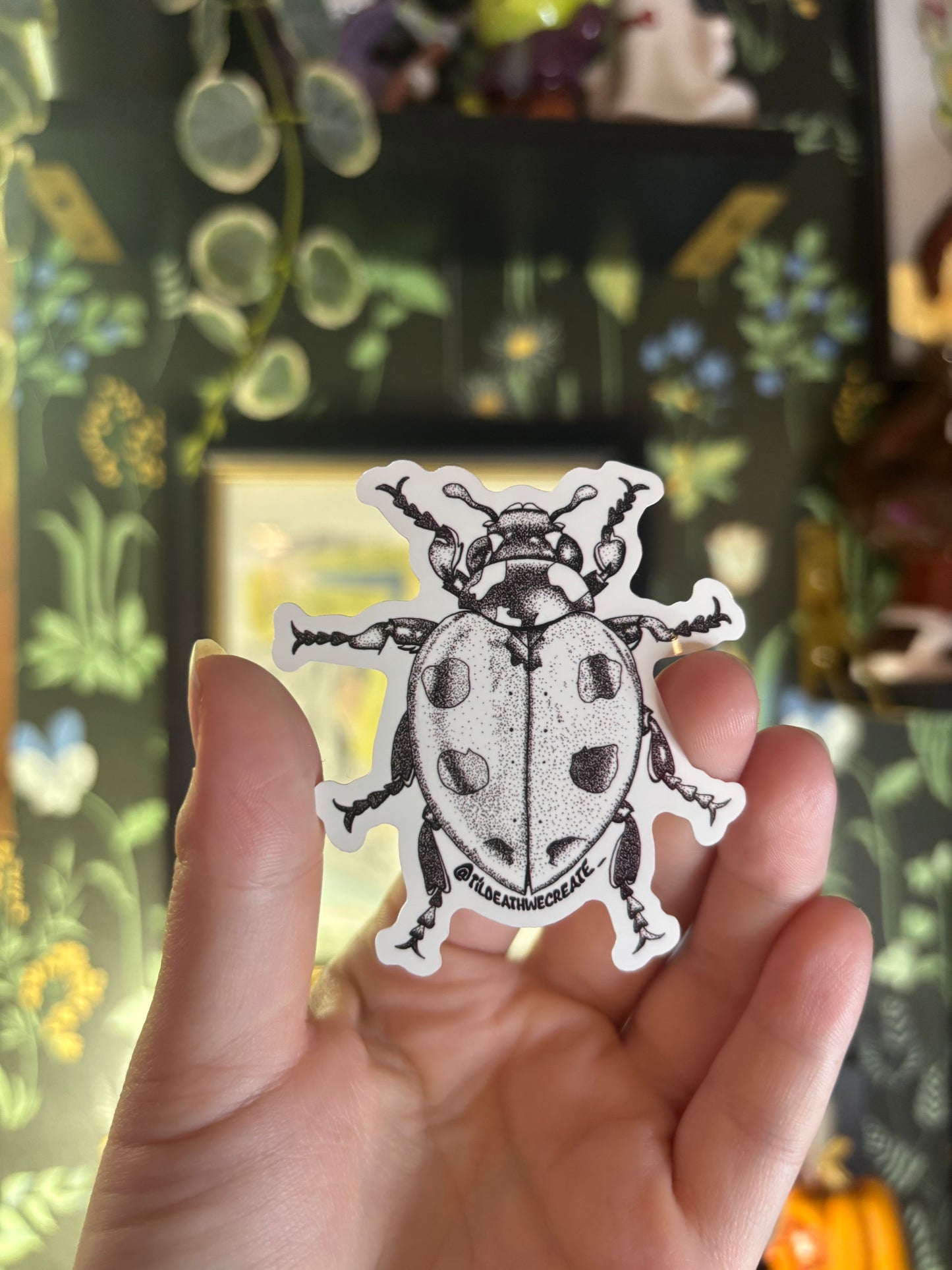 Ladybug Sticker
