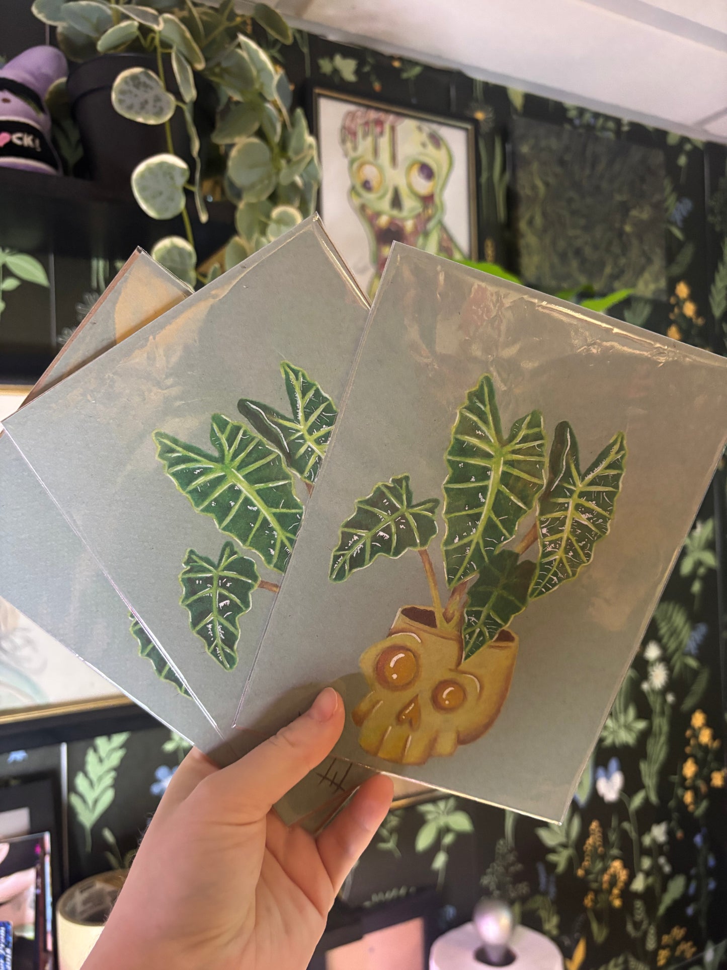 Alocasia Polly 5x7 Print